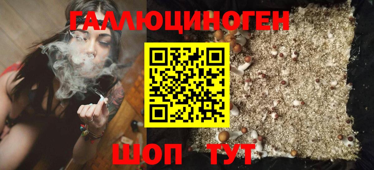 Балашов  Галлюциногенные грибы мицелий  Вход с VPN 
